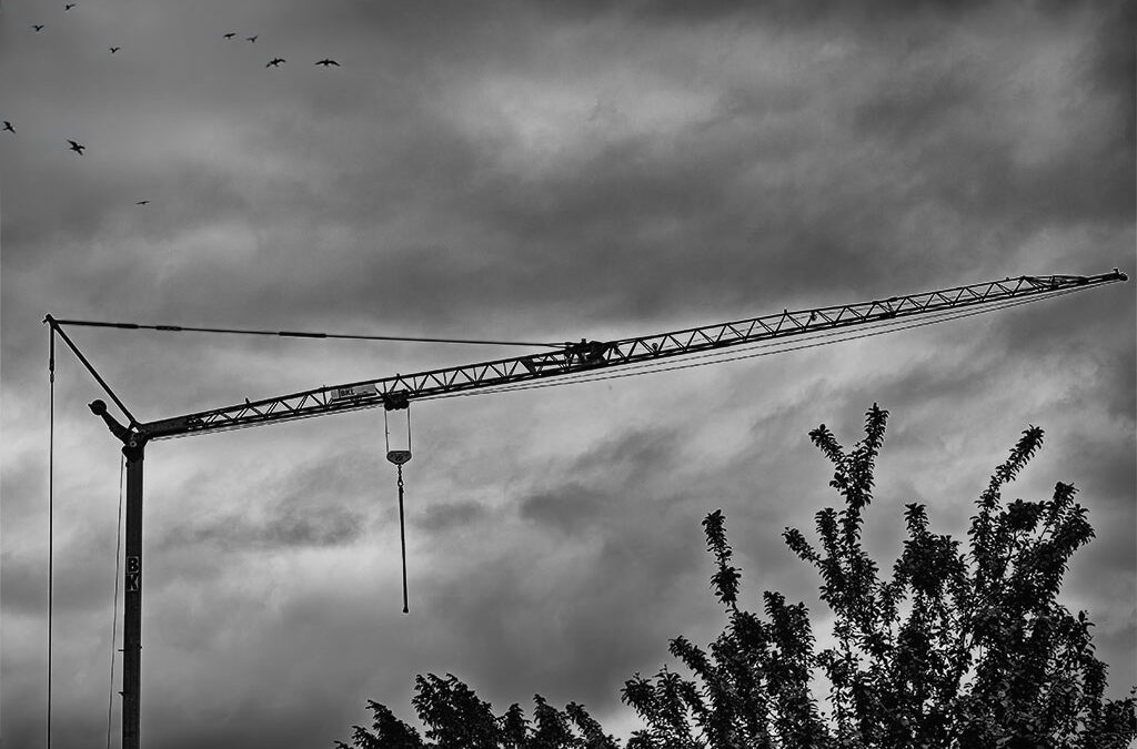 Black & White – 5/2026