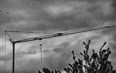 Black & White – 5/2026