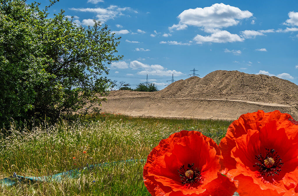 Unterwegs zwischen Mohn- & Mondlandschaft . . .