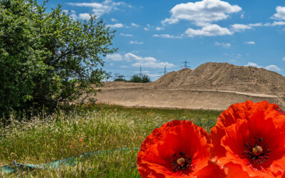 Unterwegs zwischen Mohn- & Mondlandschaft . . .