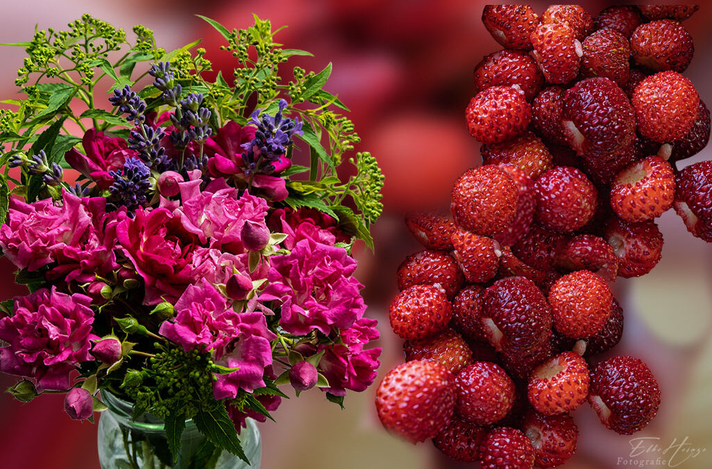 Wilde Erdbeeren & Freitagsblümchen