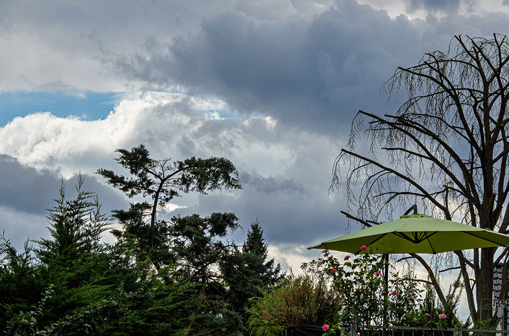 Trüber Himmel, müder Morgen