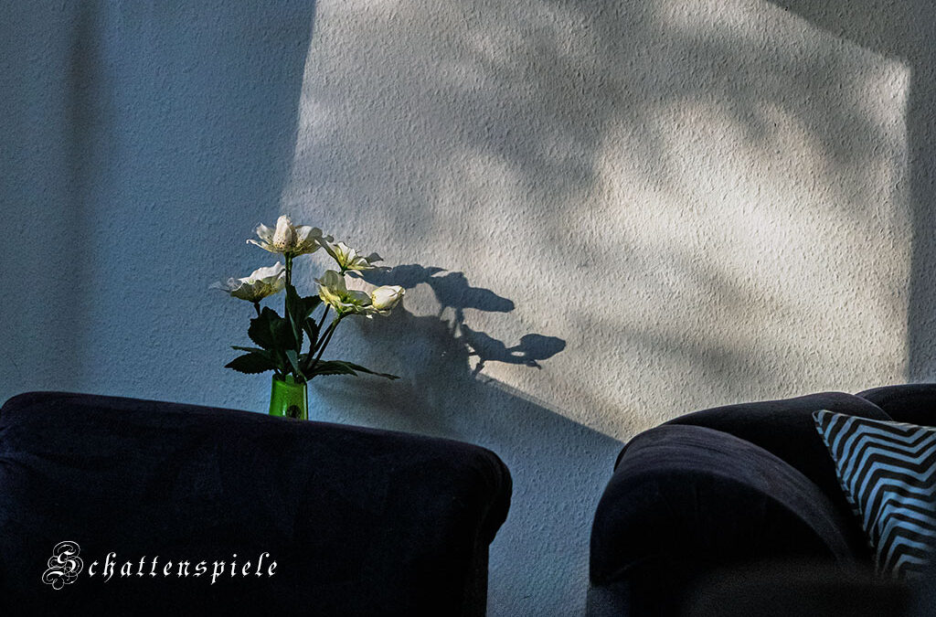 Nur eins (4) . . .