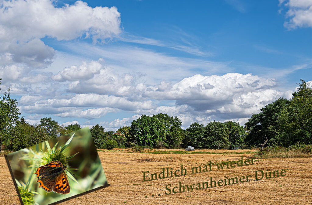Raus aus der Komfortzone