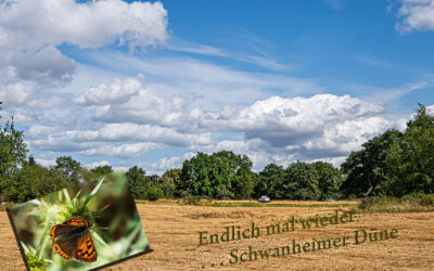Raus aus der Komfortzone