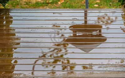 Nur eins (18) . . .