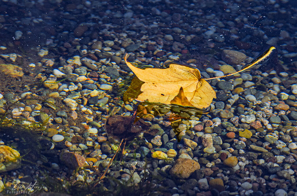Ein Goldener Oktober?