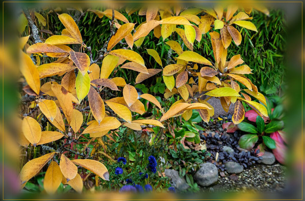 Herbstpalette