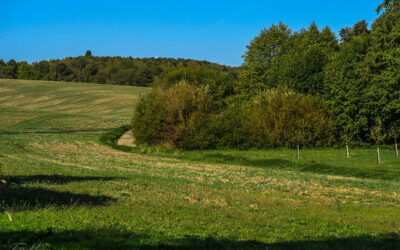Schmiehbachtal 2.0